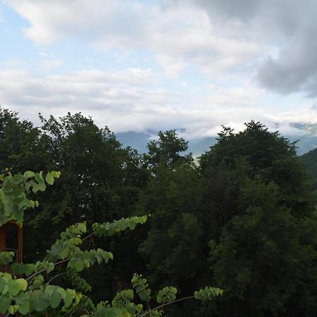 Mars Otel Artvin Exteriér fotografie