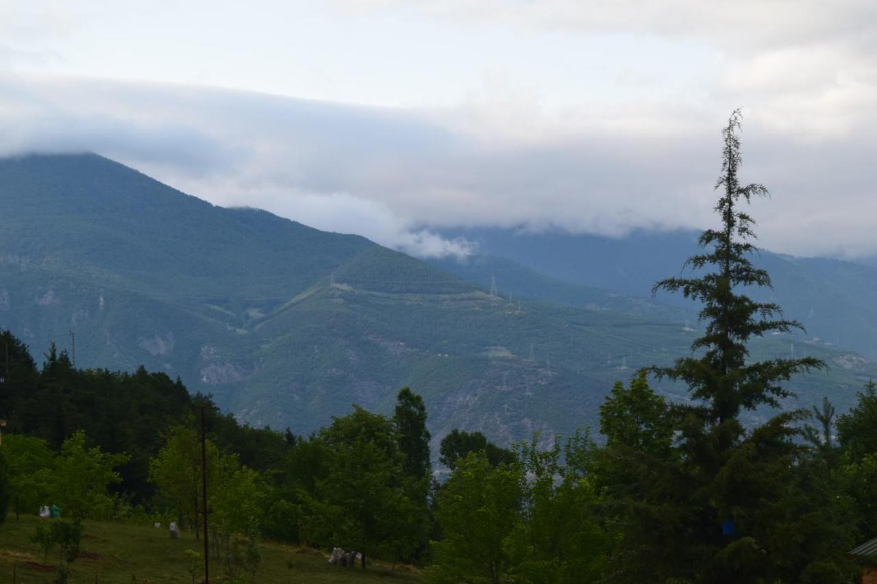 Mars Otel Artvin Exteriér fotografie