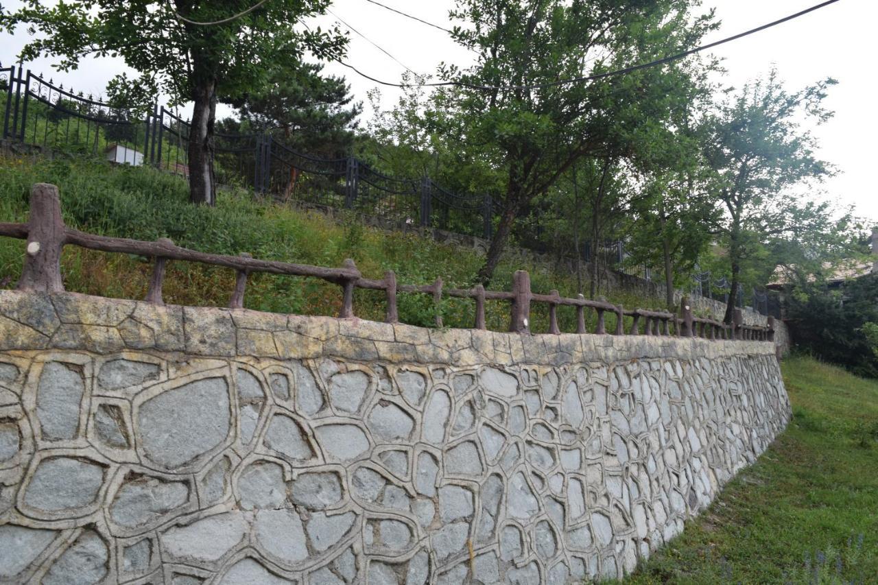 Mars Otel Artvin Exteriér fotografie