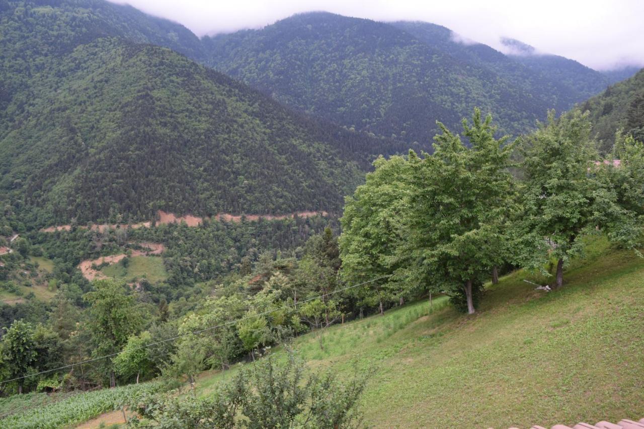 Mars Otel Artvin Exteriér fotografie
