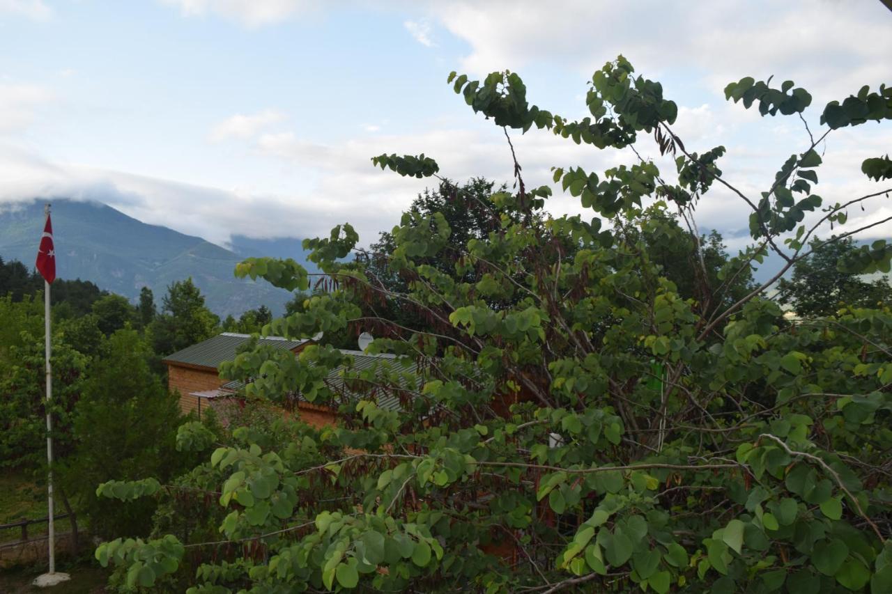 Mars Otel Artvin Exteriér fotografie