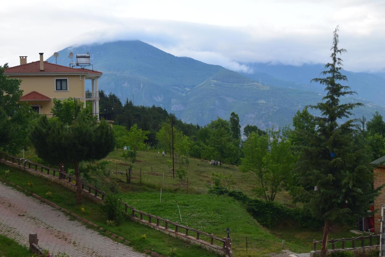 Mars Otel Artvin Exteriér fotografie