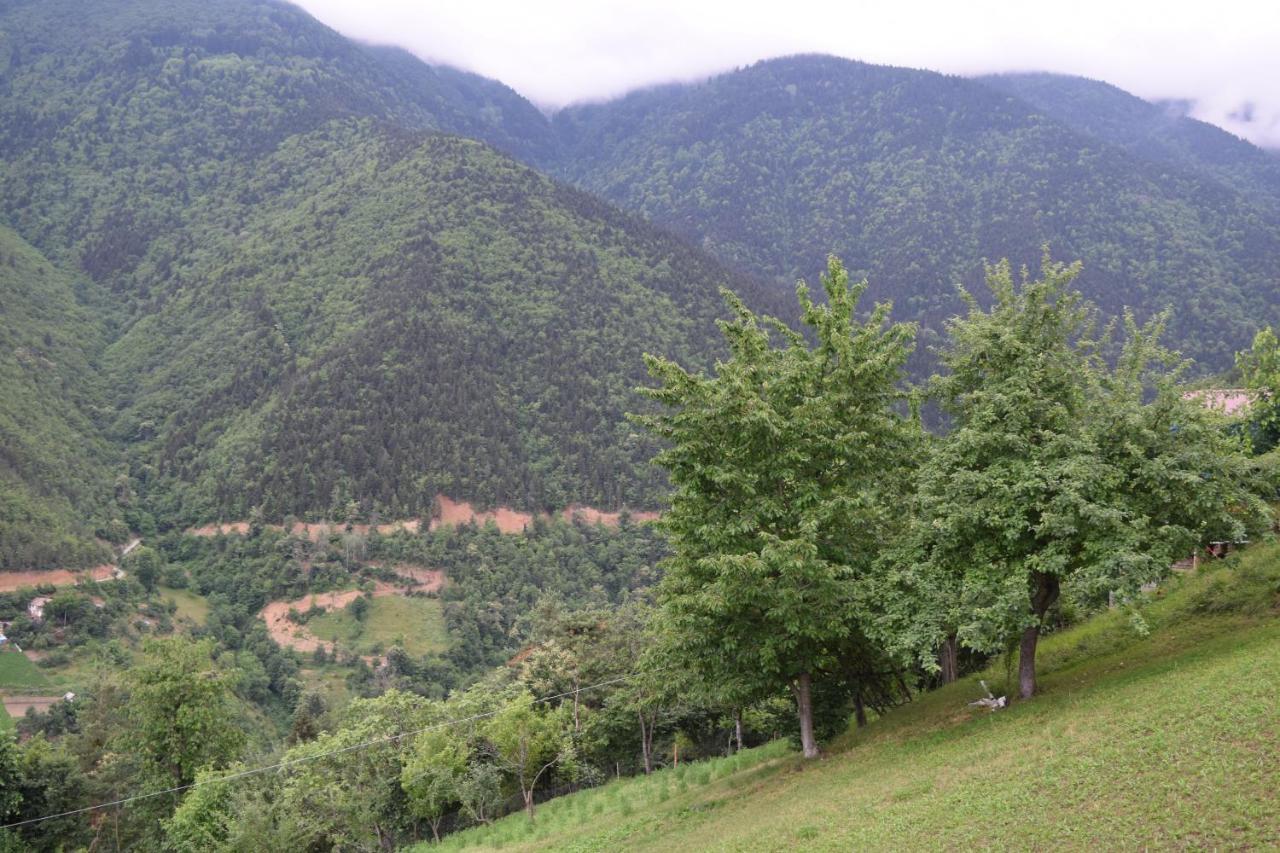 Mars Otel Artvin Exteriér fotografie