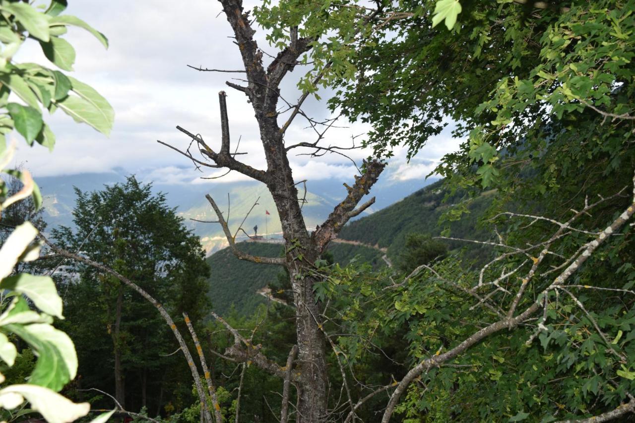 Mars Otel Artvin Exteriér fotografie