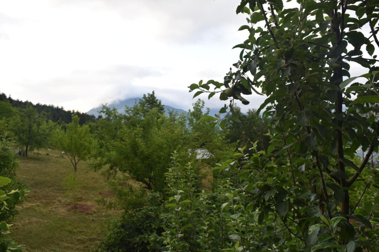 Mars Otel Artvin Exteriér fotografie