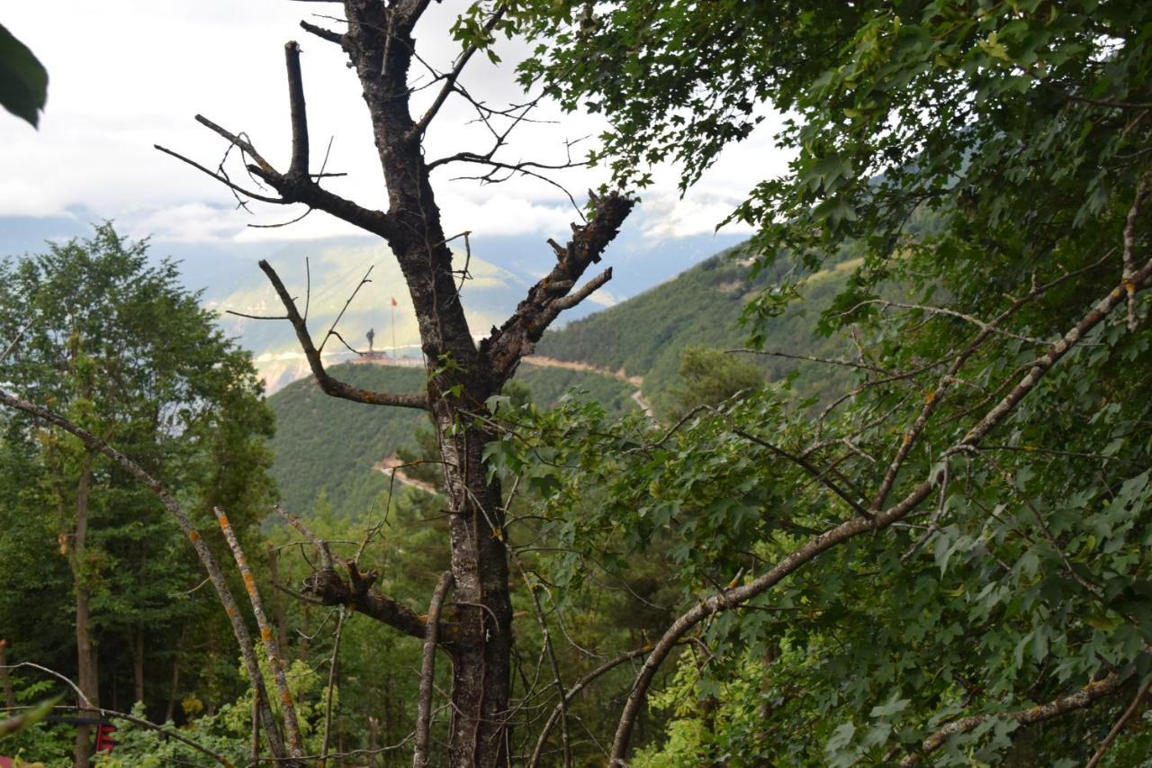 Mars Otel Artvin Exteriér fotografie