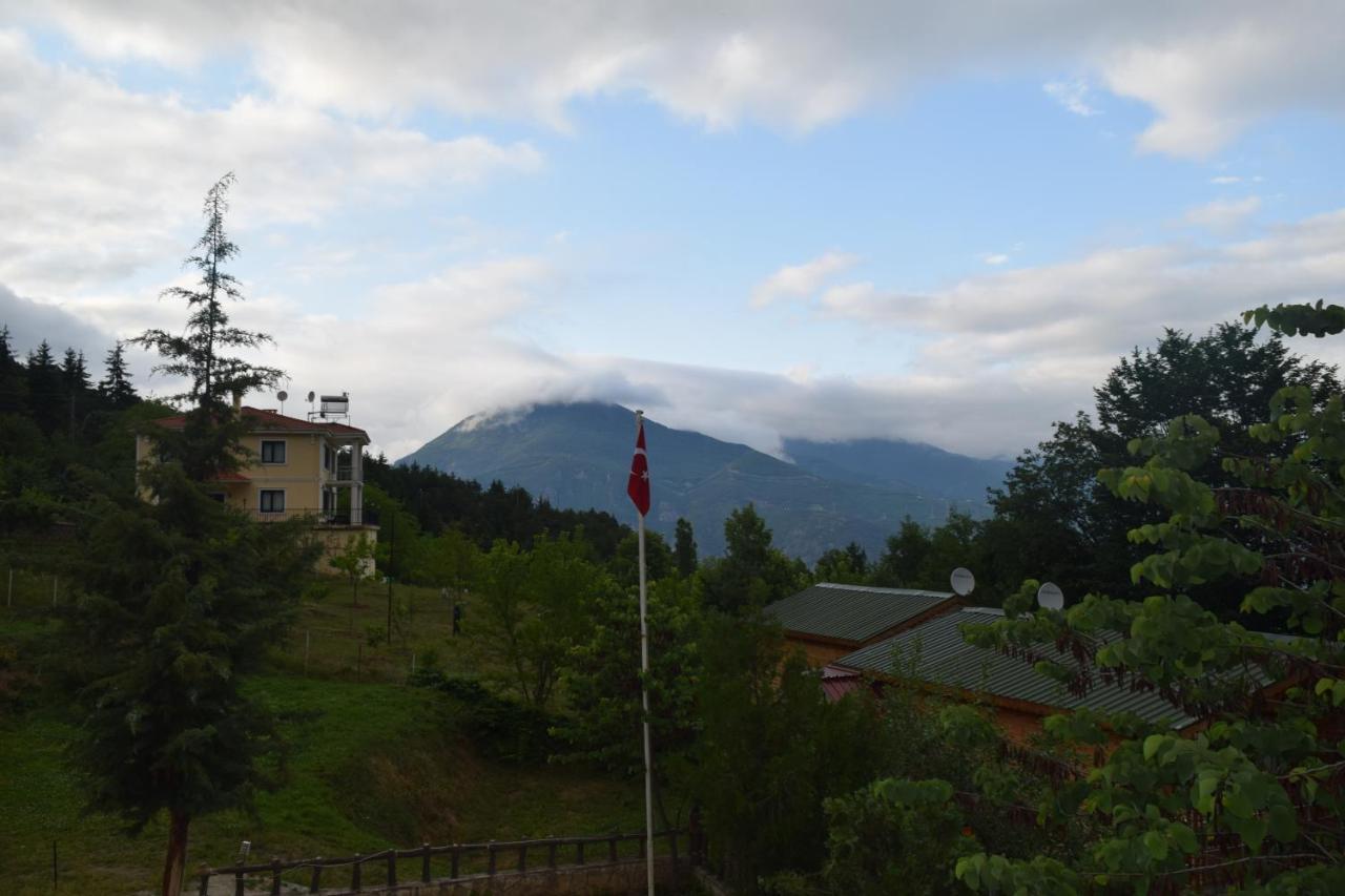 Mars Otel Artvin Exteriér fotografie