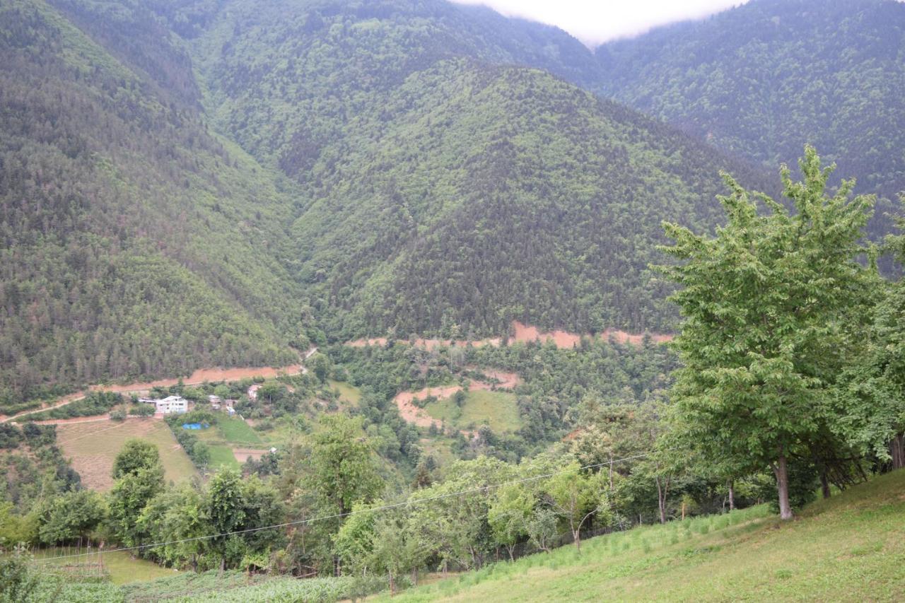 Mars Otel Artvin Exteriér fotografie
