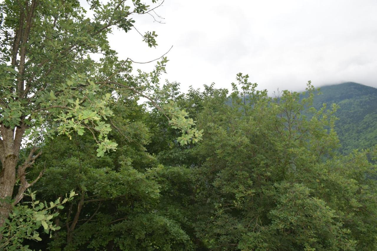 Mars Otel Artvin Exteriér fotografie