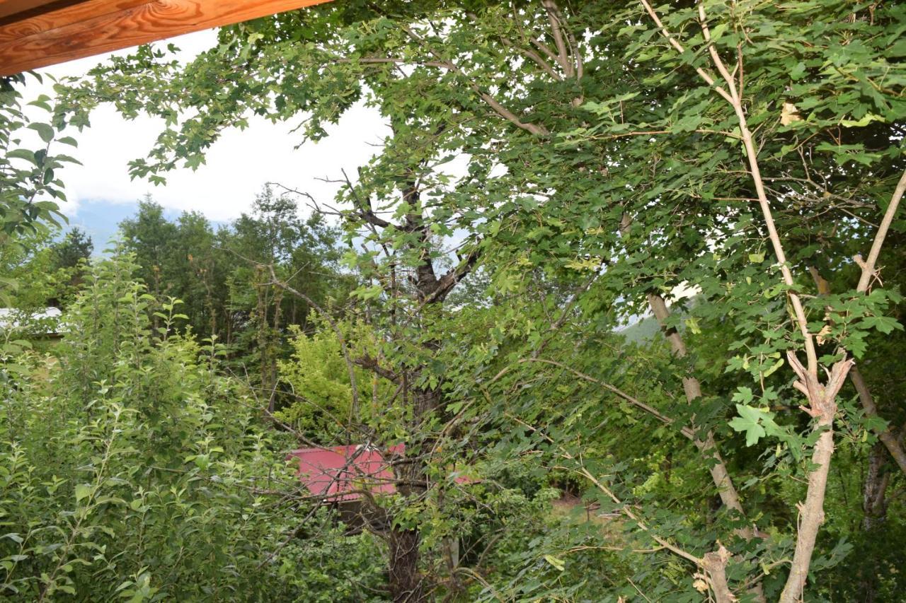 Mars Otel Artvin Exteriér fotografie